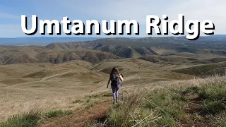 Hiking Umtanum Ridge - Spring Wildflowers and Wildlife!