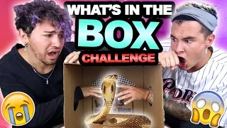 WHAT'S IN THE BOX CHALLENGE (HUGE FREAKOUT)