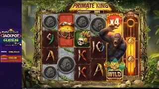 New Slot Primate King Megaways