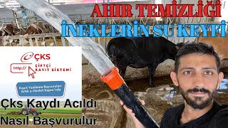 ÇKS Başvuruları Açıldı | Çiftlikte Günlük İşler Ve Ahır Temizliği