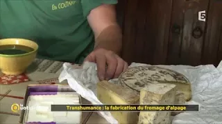 Transhumance : la fabrication du fromage d'alpage