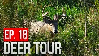 The BUCK NEST is BACK! - Bowhunting Public Land Whitetails: DEER TOUR E18