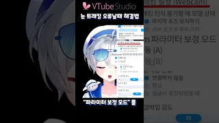 버츄얼 눈 트래킹 오류 해결법 #shorts