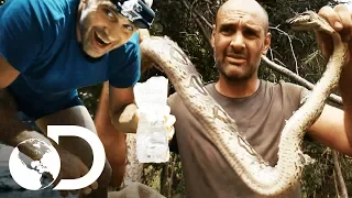 Las comidas de supervivencia más extremas | Ed Stafford al extremo | Discovery Latinoamérica