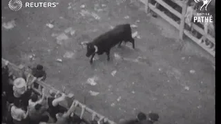 Running of the Bulls in Pamplona (1939)