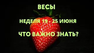 ВЕСЫ🌈НЕДЕЛЯ 19 - 25 ИЮНЯ 2023🔮ЧТО МНЕ ПО СУДЬБЕ?🍀ГОРОСКОП ТАРО Ispirazione