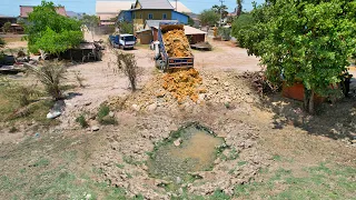 Mostly Starting New Project Filling Land Processing Using Heavy Machinery D20 Dozer And 5Ton Trucks