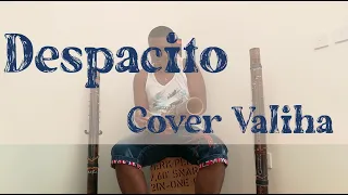 Despacito - Luis fonsi  | Cover  Valiha by Rado Fentsu