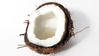 Most requested: COCONUT TIME LAPSE [4K]