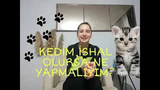 KEDİM İSHAL OLURSA NE YAPMALIYIM?💭😾