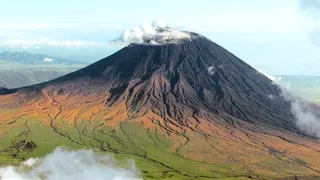 This Volcano Drives a Wildebeest Migration I Volcanic I BBC Earth Science