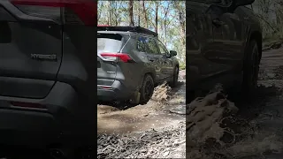 #short | RAV4 Hybrid Off-Road and enjoying the Mud