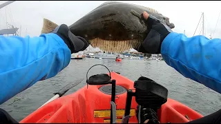 The Newport Harbor Fishing Experience