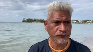 Un requin dans un filet à Magenta plage