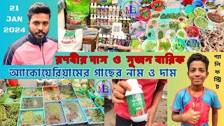 AQUARIUM PLANTS NAME & PRICE | SOIL PRICE | GALIFF STREET, KOLKATA | RANABIR & SUJON | 21 JAN 2024