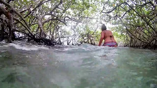 Впервые прогулялись в мангровых лесах в Доминикане