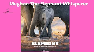 Meghan The Elephant Whisperer