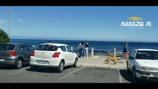 Driving Within Sea Point In Cape Town, South Africa.