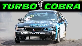 1300hp Turbo '03 Cobra STREET CAR