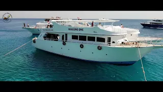 Hurghada Diving Experience from Desert Rose Hotel in Hurghada