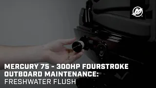 Mercury 75 - 300hp FourStroke Outboard Maintenance: Freshwater Flush