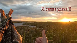 Хорошая вечёрка в красивом месте! Охота на утку 2023!