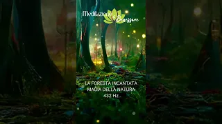 LA FORESTA INCANTATA | MUSICA RILASSANTE PER MEDITAZIONE 432 hz | VERSIONE INTEGRALE SUL CANALE