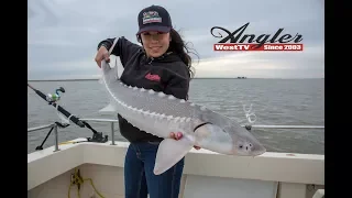 California Delta Sturgeon Fishing