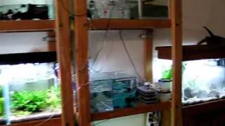 Fish tanks during a 5.5 earthquake