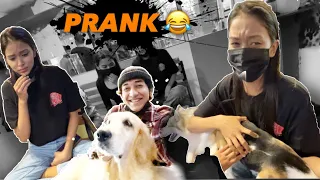 Didi Ko Diya 300k Pe Surprise Prank 😂 || Vlog #227