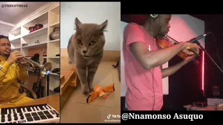 The kiffness X Alugalug Cat 2.0 X (violin) vibe cat