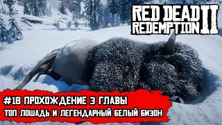 RDR 2. #18 - Лучшая лошадь и охота на легендарного Белого Бизона