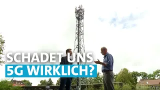 Schädliche Strahlung? - Ausbau des 5G-Netzes in Freiburg | Zur Sache! Baden-Württemberg