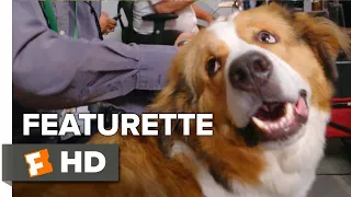 A Dog's Journey Exclusive Featurette - Joy of Dogs (2019) | Movieclips Coming Soon