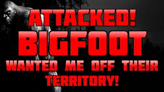 ATTACKED!  BIGFOOT WANTED ME OFF THEIR TERRITORY!