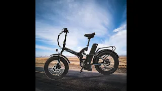 20 inch fat tire dual motor driving snow beach E bike 50kmh