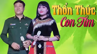 Thơ Tình Của Núi - Tình Ca Tây Bắc | Những Bài Trữ Tình Quê Hương Thổn Thức Con Tim