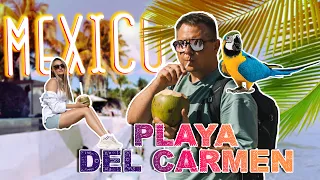 Мексика 2023. Переезд в Playa Del Carmen. Сняли квартиру. Что не так с пляжем?