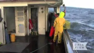 Hubert Saulnier - Lobster fisherman in Southwest Nova Scotia (LFA 34)