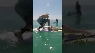 Giant Squid attacks this guy's surfboard😱