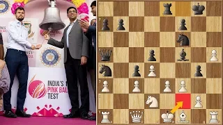 These Two Never Disappoint! || Carlsen vs Anand || GCT Tata Steel Rapid (2019)