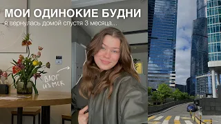 неделя из жизни одной *влог из москвы*