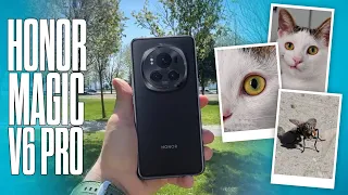 DxOMark 1.si Honor Magic 6 Pro testte!