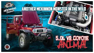 McKinnon's 5.0L V8 Coyote Swapped Ute - Mr Landcruiser