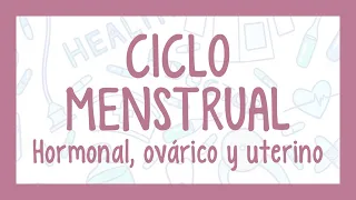 CICLO MENSTRUAL - ciclo sexual femenino: Hormonal, ovárico y uterino| ¡Fácil explicación!