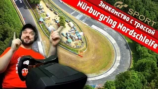 Знакомство с трассой - Зелёный ад - Nürburgring Nordschleife - Gran Turismo Sport