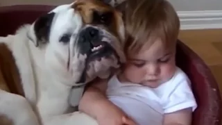 Hunde und Babys sind so süß Compilation (für die Liebe zu Hunden)