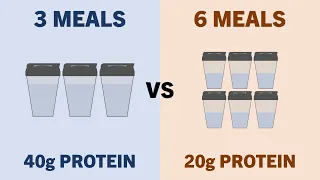 How Much Protein Can be Used in a Single Meal for Muscle Growth?