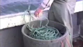 Long Line Fishing in the Bay of Fundy, Nova Scotia Canada