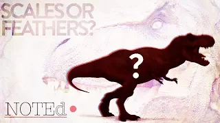 Did the T-Rex have Scales or Feathers?